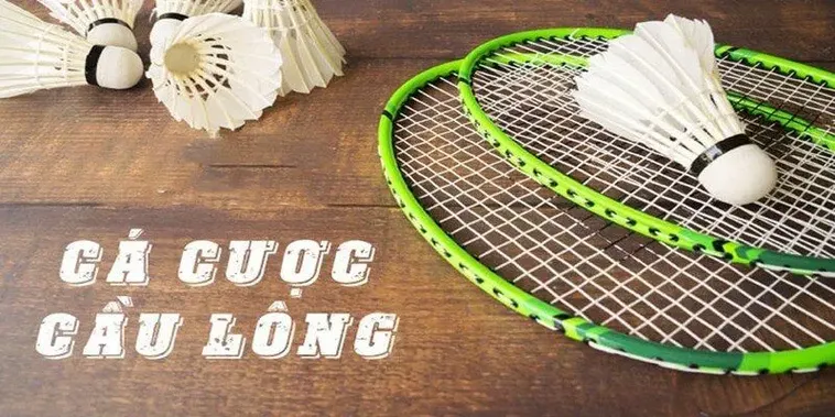 Hướng Dẫn Cá Cược Cầu Lông Tại Topbet379: Đánh Giá Chi Tiết