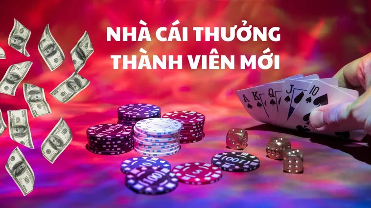 Nhà Cái VANDO88: Điểm Đến Cá Cược Đỉnh Cao Cho Dân Chơi 2 Nhà Cái VANDO88: Điểm Đến Cá Cược Đỉnh Cao Cho Dân Chơi